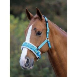 Shires Fleece Lined Lunge Cavesson - Blue