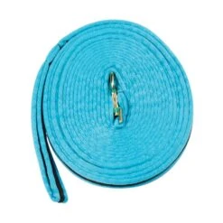 Kincade Brights Two Tone Padded Lunging Line - Aqua/Black