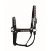 Western Rawhide Signature Pattern Halter - Black/Octagon -Ovation Sale Shop 342218 800 800