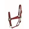 Western Rawhide Signature Classic Halter W/Snap - Red 4 Western Rawhide Signature Classic Halter W/Snap - Red -Ovation Sale Shop 360473 800 800