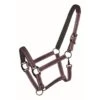 Western Rawhide Country LegendDesigner Padded Halter - Purple/Brown 2 Western Rawhide Country LegendDesigner Padded Halter - Purple/Brown -Ovation Sale Shop 360523 800 800