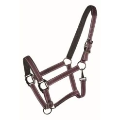 Western Rawhide Country LegendDesigner Padded Halter - Purple/Brown