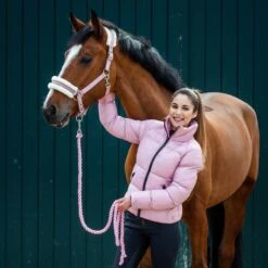 Horze Women's Rianna Puffy Winter Jacket - Zephyr 6 Horze Women's Rianna Puffy Winter Jacket - Zephyr -Ovation Sale Shop 381066 800 800