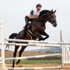 Horze Men's Grand Prix Full Seat Breeches - Black -Ovation Sale Shop 382121 800 800