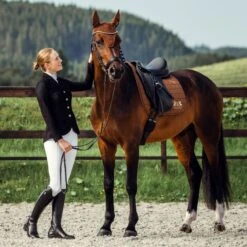 B Vertigo Women's Gabrielle Mesh Show Jacket - Black -Ovation Sale Shop 384744 800 800