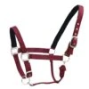 Centaur Cushion Web Breakaway Halter - Burgundy -Ovation Sale Shop 393554 800 800