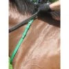 Nunn Finer Nylon Neck Grab Strap - Kelly Green 4 Nunn Finer Nylon Neck Grab Strap - Kelly Green -Ovation Sale Shop 400279 800 800