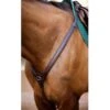 Nunn Finer Upperville Breastplate - Havana/Zinc -Ovation Sale Shop 401637 800 800
