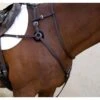 Nunn Finer Breastplate Attachment With Neck Strap - Havana/Brass -Ovation Sale Shop 403145 800 800