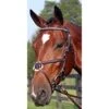 Nunn Finer Figure 8 Clincher Browband Padded Event Bridle - Havana/Brass -Ovation Sale Shop 407501 800 800