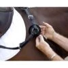 Nunn Finer Replacement Breastplate Fleece - Natural 4 Nunn Finer Replacement Breastplate Fleece - Natural -Ovation Sale Shop 408979 800 800
