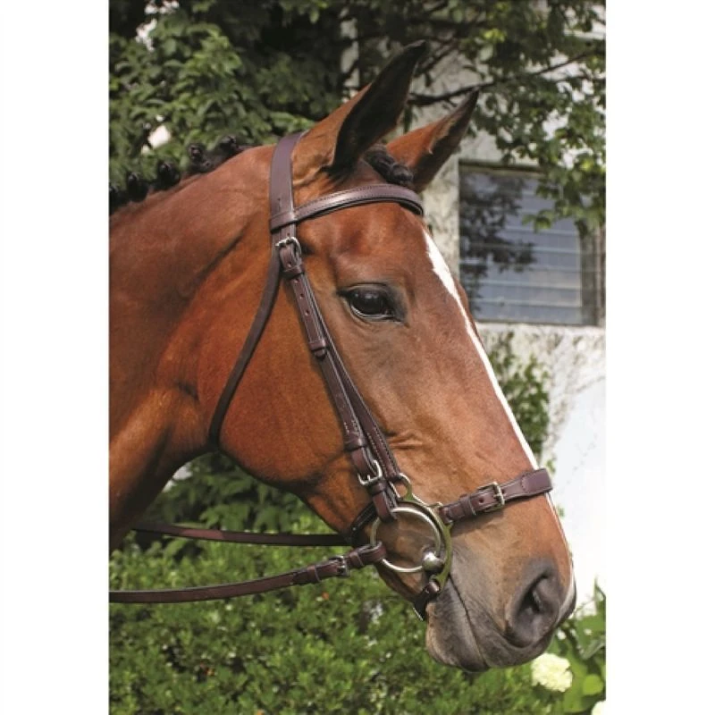 Nunn Finer Adjustable Lever Noseband - Havana/Zinc 1 Nunn Finer Adjustable Lever Noseband - Havana/Zinc