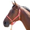 Shires Topaz Leather Breakaway Nylon Halter - Orange