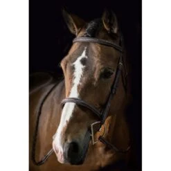 Pessoa PRO Fancy Stitched Raised Bridle - Dark Brown -Ovation Sale Shop 435220 800 800