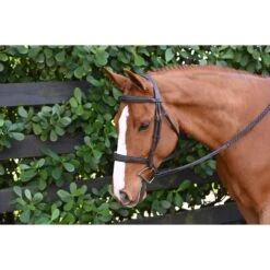 Ovation ATS Fancy Sitich Square Raised Taper Nose Bridle - Dark Brown -Ovation Sale Shop 435980 800 800