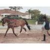 Pessoa Lunging System - Natural -Ovation Sale Shop 437696 800 800
