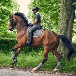 Catago Diamond Dressage Saddle Pad - Grey -Ovation Sale Shop 440764 800 800