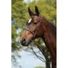 Kincade Raised Fancy Stitched Bridle - Brown -Ovation Sale Shop 442510 800 800