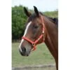 Roma Breakaway Halter II - Red -Ovation Sale Shop 442610 800 800