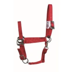 Western Rawhide Signature Halter W/Antique Silver Hardware W/Snap - Red