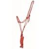 Western Rawhide 1/4" Fashion Check Rope Halterw/Lead - Red/Black 5 Western Rawhide 1/4" Fashion Check Rope Halterw/Lead - Red/Black -Ovation Sale Shop 443788 800 800