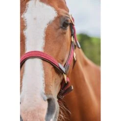 Kincade Braided Leather Breakaway Headcollar - Maroon -Ovation Sale Shop 458811 800 800