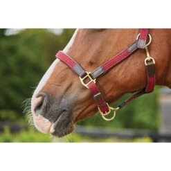 Kincade Braided Leather Breakaway Headcollar - Maroon -Ovation Sale Shop 458812 800 800