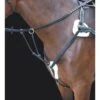 Shires Rossano 5-Point Breastplate - Black -Ovation Sale Shop 469764 800 800