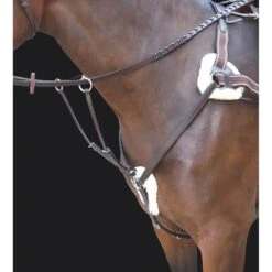 Shires Rossano 5-Point Breastplate - Havana