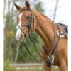 Shires Avignon Five Point Breastplate - Black