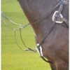 Shires Avignon Five Point Breastplate - Havana -Ovation Sale Shop 471278 800 800