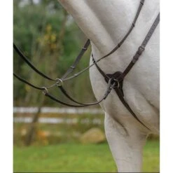 Shires Avignon Three Point Breastplate - Havana