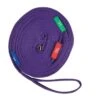 Kincade Two Tone Lunge Line With Circle Markers - Purple/Black -Ovation Sale Shop 474511 800 800