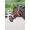Shires Fleece Lined Lunge Cavesson - Pink -Ovation Sale Shop 474982 800 800
