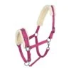 Horze Lunging Cavesson - Raspberry Pink -Ovation Sale Shop 479600 800 800
