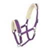 Horze Lunging Cavesson - Purple -Ovation Sale Shop 479705 800 800