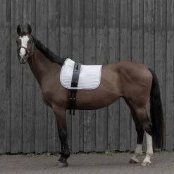 Horze Vaulting Surcingle - Black 4 Horze Vaulting Surcingle - Black -Ovation Sale Shop 480027 800 800