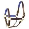 Perri's 1" Padded Leather Halter - Havana/Blue -Ovation Sale Shop 500309 800 800