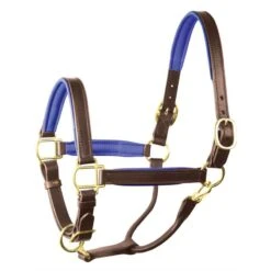 Perri's 1" Padded Leather Halter - Havana/Blue
