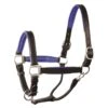 Perri's 1" Padded Leather Halter - Black/Blue -Ovation Sale Shop 500357 800 800