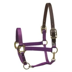 Perri's Nylon Safety Halter - Purple