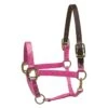 Perri's Nylon Safety Halter - Pink -Ovation Sale Shop 500455 800 800