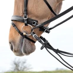 Horze Sparta Nylon/Leather Draw Reins - Black -Ovation Sale Shop 505493 800 800