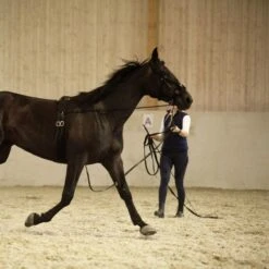 Horze Nylon Lunging Cavesson - Black -Ovation Sale Shop 505592 800 800