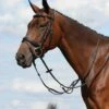 Collegiate Syntovia+ Plain Flat Running Martingale - Black -Ovation Sale Shop 535869 800 800