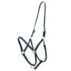 Zilco Deluxe Endurance Bridle/Halter Cavesson Only - Hunter Green -Ovation Sale Shop 545719 800 800