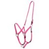 Zilco Deluxe Endurance Bridle/Halter Cavesson Only - Pink