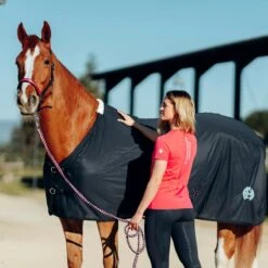 Horze Women's Lily Technical T-Shirt - Rouge Red -Ovation Sale Shop 548928 800 800