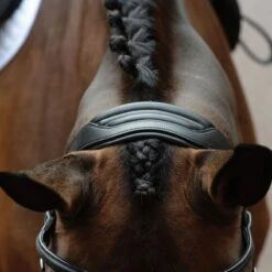 Collegiate Comfitec Vogue Anatomical Bridle - Brown -Ovation Sale Shop 553343 800 800