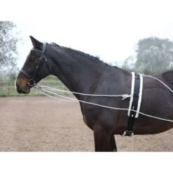 Shires Lunging Aid - Black 7 Shires Lunging Aid - Black -Ovation Sale Shop 553778 800 800